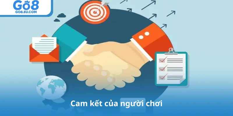 Cam kết của người chơi
