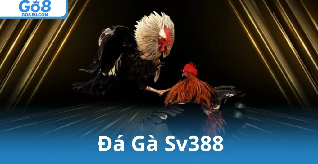 Đá Gà Sv388