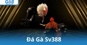 Đá Gà Sv388