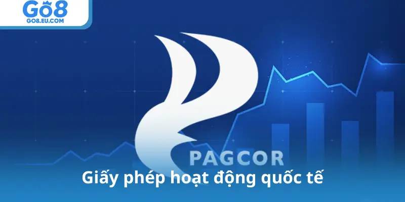 Giấy phép hoạt động quốc tế
