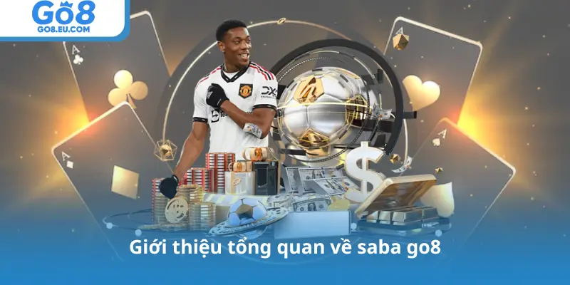 Giới thiệu tổng quan về saba go8