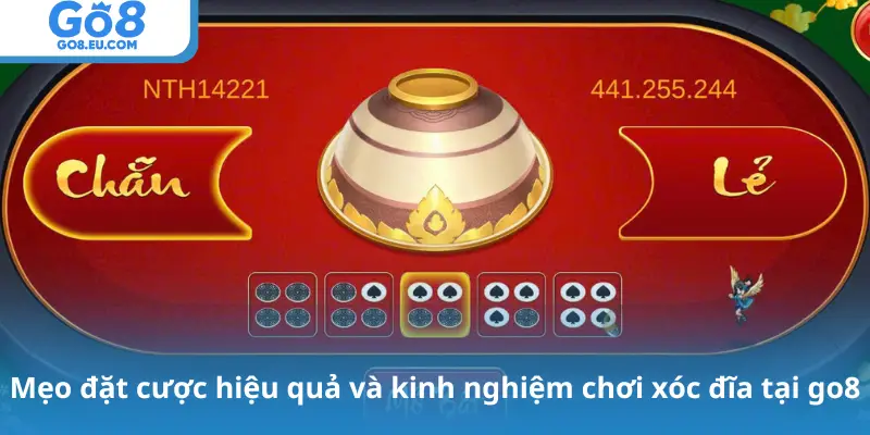 Mẹo đặt cược hiệu quả và kinh nghiệm chơi xóc đĩa tại go8