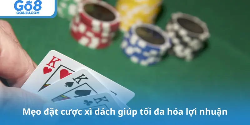 Mẹo đặt cược xì dách giúp tối đa hóa lợi nhuận