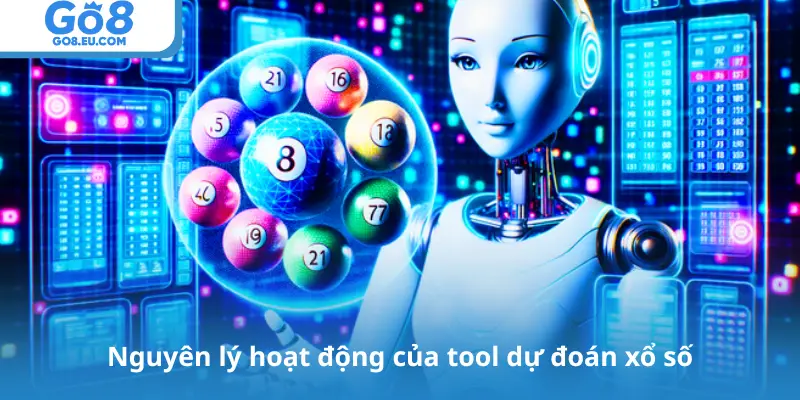 Nguyên lý hoạt động của tool dự đoán xổ số