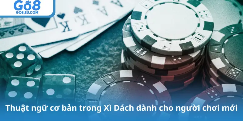 Thuật ngữ cơ bản trong Xì Dách dành cho người chơi mới
