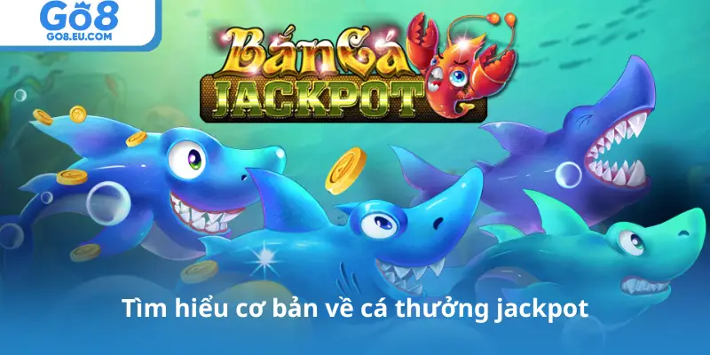 Tìm hiểu cơ bản về cá thưởng jackpot