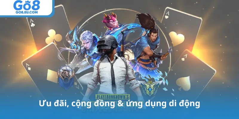 Ưu đãi, cộng đồng & ứng dụng di động